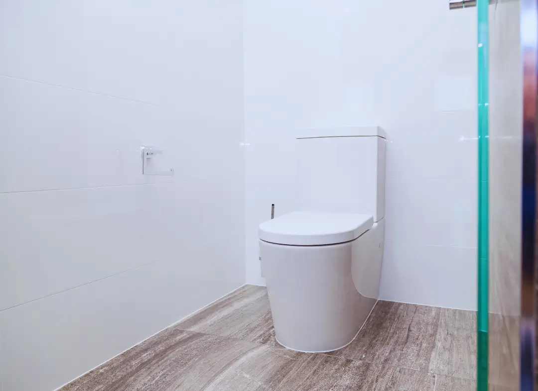 Remplacement de wc Rue